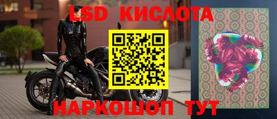 сатива Кунгур