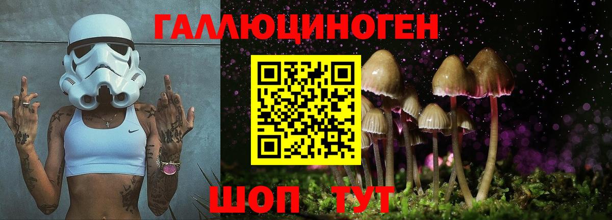 наркота  Вход с VPN  Жигулёвск  Псилоцибиновые грибы GOLDEN TEACHER 