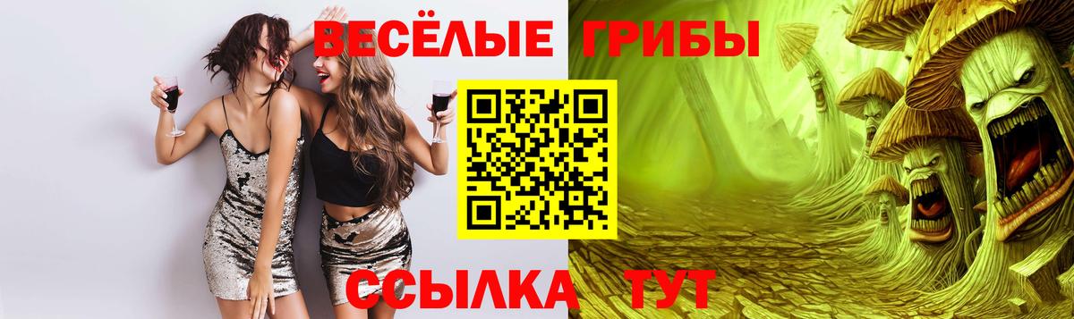 Галлюциногенные грибы GOLDEN TEACHER Жигулёвск